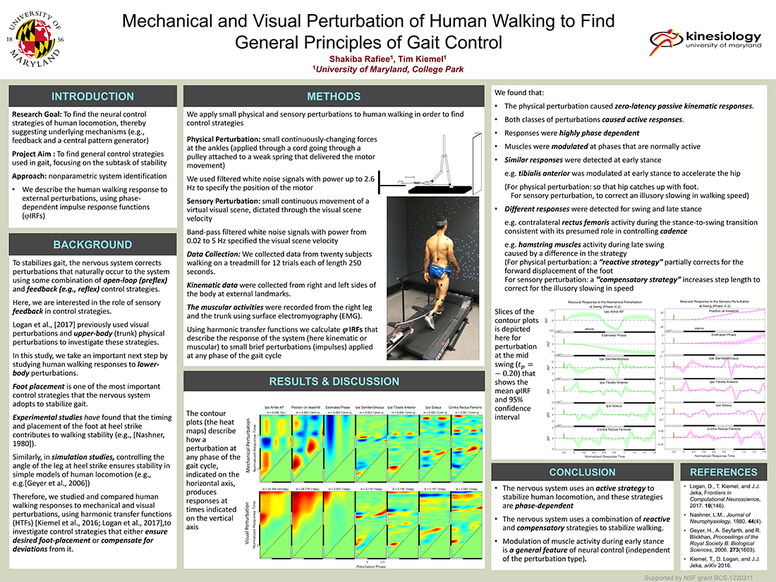 Mechanical and Visual Perturbation of Human Walking to Find General Principles of Gait Control