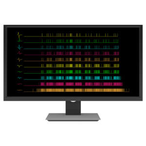 NeuroMap